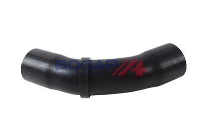 FURTUN EAR SUPRAALIMENTARE BOGAP B1711212 1
