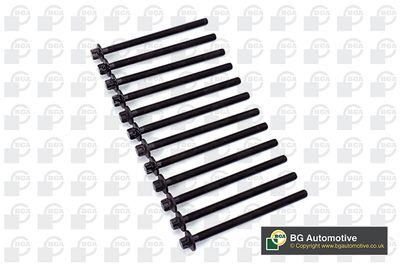 SET SURUB CHIULASA BGA BK4305