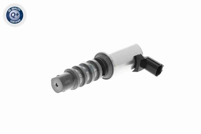 SUPAPA COMANDA POZ. ARBORE CU CAME ACKOJA A260228 9