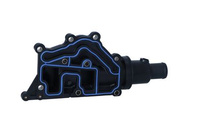 TERMOSTAT LICHID RACIRE NRF 725053 25