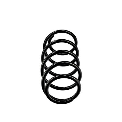 ARC SPIRAL EIBACH R10344 13
