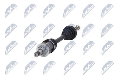 PLANETARA NTY NPWCH161 36