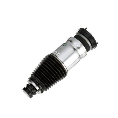 LUFTFEDERBEIN Arnott AS3380 61