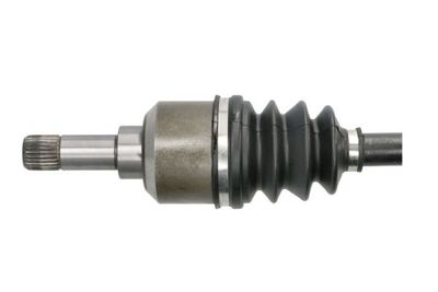 Drivaxel PASCAL G2P011PC för CITROËN