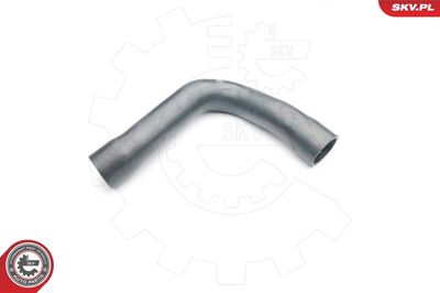 FURTUN EAR SUPRAALIMENTARE