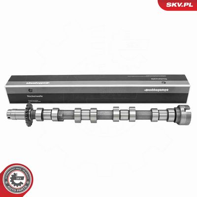 AX CU CAME ESEN SKV 80SKV041