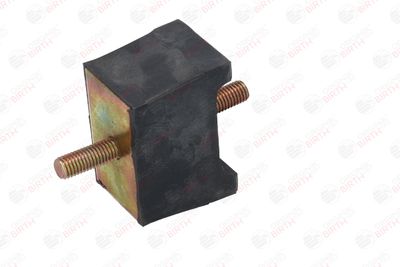 SUPORT MOTOR BIRTH 5918 1