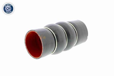 LADELUFTSCHLAUCH VAICO V250949 2