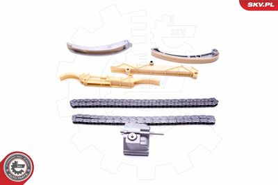 Timing Chain Kit 21SKV138