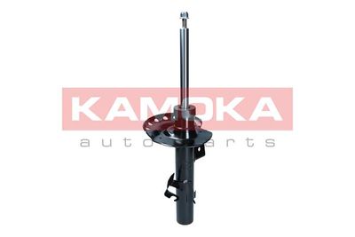 Shock Absorber 2000570