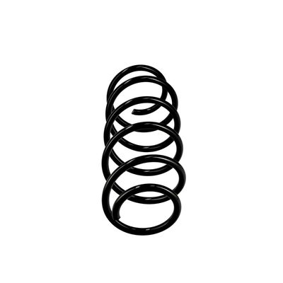 ARC SPIRAL EIBACH R10156 13