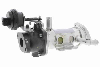 KüHLER ABGASRüCKFüHRUNG