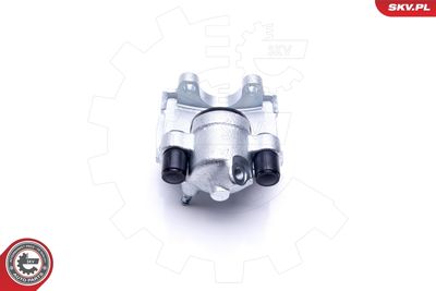 Brake Caliper 46SKV143