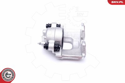 Brake Caliper 45SKV681