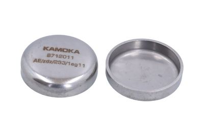 KAMOKA Užšalęs kaištis