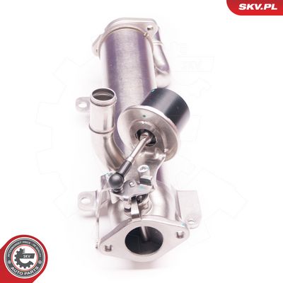 AGR-Ventil SKV 14SKV123
