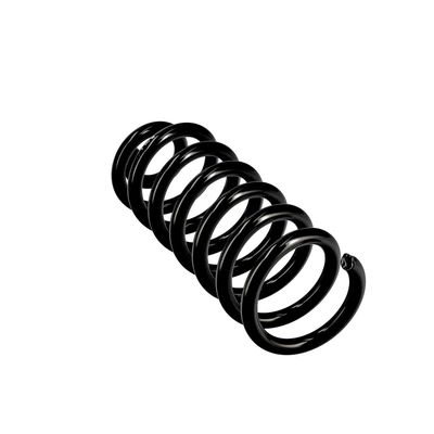 ARC SPIRAL EIBACH R10602 11