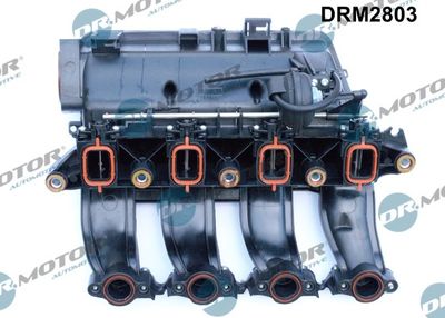 Intake Manifold Module DRM2803