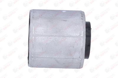 RULMENT DIFERENTIAL BIRTH 20001 10