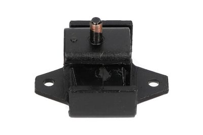 Kavo Parts Variklio montavimas