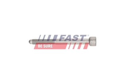 SURUB SUPORT INJECTOR FAST FT12964 2