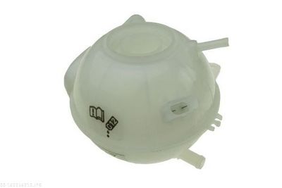 VAS DE EXPANSIUNE RACIRE