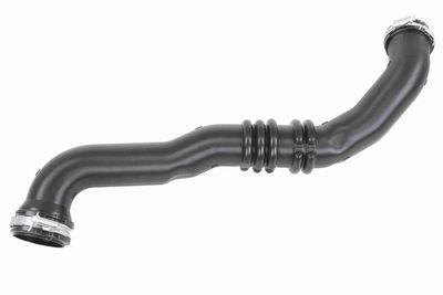 FURTUN EAR SUPRAALIMENTARE