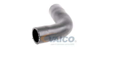 KüHLERSCHLAUCH VAICO V401343 31