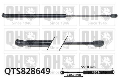 QUINTON HAZELL QTS828649 Амортизатор багажника и капота  для AUDI A3 (Ауди А3)