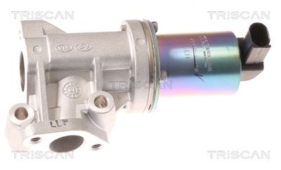 AGR-Клапан TRISCAN 8813 43001
