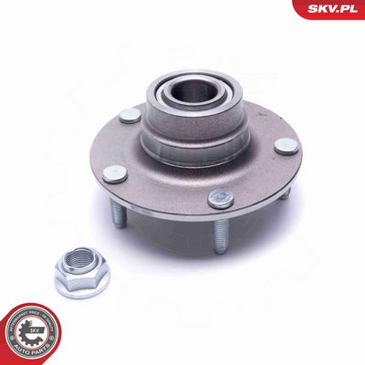 SET RULMENT ROATA ESEN SKV 29SKV461 1