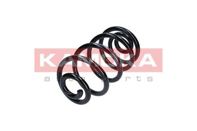 Suspension Spring 2120250