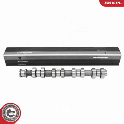 AX CU CAME ESEN SKV 80SKV014