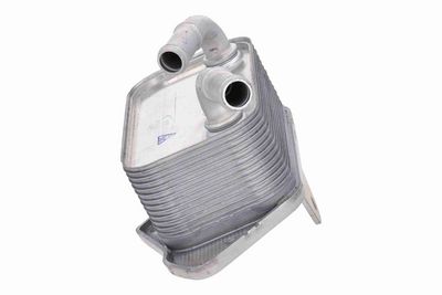 RADIATOR ULEI ULEI MOTOR VEMO V15606019 5