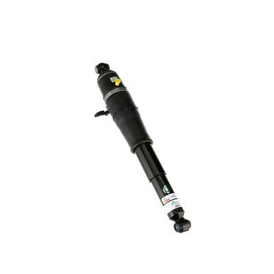 LUFTFEDERBEIN Arnott AS3066 68