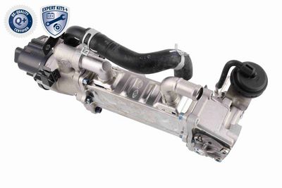 MODUL-EGR ACKOJA A52630019 5