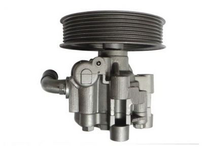 HYDRAULIKPUMPE LENKUNG SPIDAN 54166 3