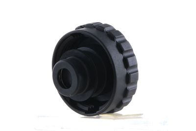 BUSON VAS EXPANSIUNE MAHLE CRB107000S 33