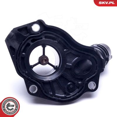 Termostatas, aušinimo skystis