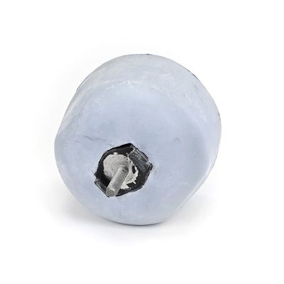 LAGERUNG MOTOR DELPHI TEM241 9