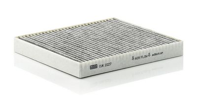 Filter, Innenraumluft