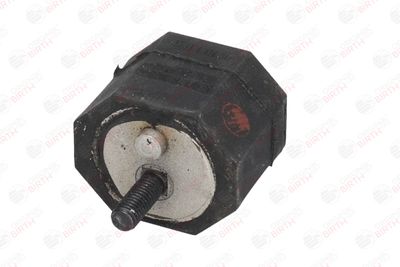 SUPORT MOTOR BIRTH 5276 11