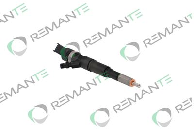 INJECTOR REMANTE 002003001174R 3