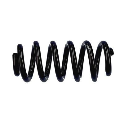 ARC SPIRAL EIBACH R22994 19