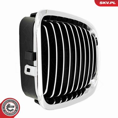 GRILA RADIATOR ESEN SKV 66SKV063 5