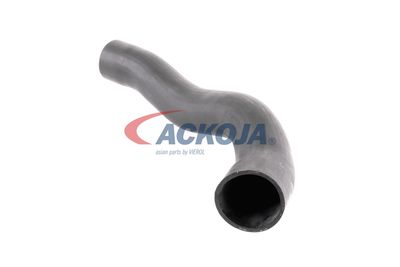 FURTUN EAR SUPRAALIMENTARE ACKOJA A379600 19