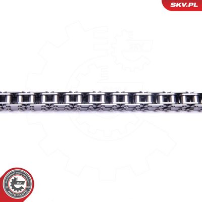 CHIT LANT DE DISTRIBUTIE ESEN SKV 21SKV111 1