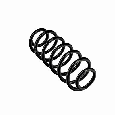 ARC SPIRAL EIBACH R10413 11