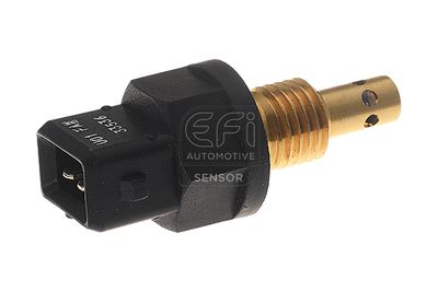 датчик, външна температура EFI AUTOMOTIVE 295116