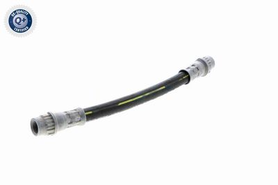 FURTUN FRANA VAICO V220625 4